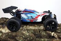 RC Elektro Buggy 1:18 mit 2,4Ghz, 40 km/h, Allradantrieb - LiIon - "Electricity 306E"